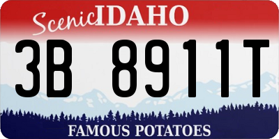 ID license plate 3B8911T