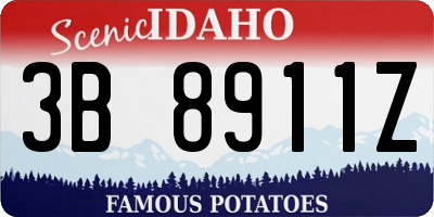 ID license plate 3B8911Z