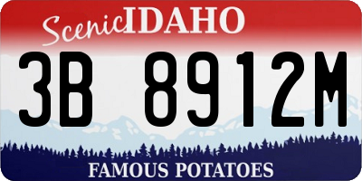 ID license plate 3B8912M