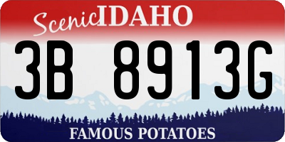 ID license plate 3B8913G