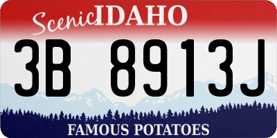 ID license plate 3B8913J