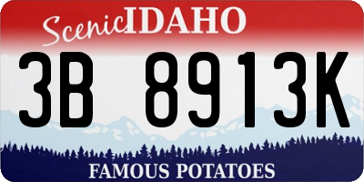 ID license plate 3B8913K