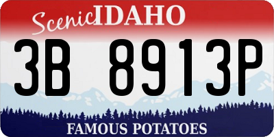 ID license plate 3B8913P