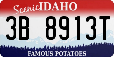 ID license plate 3B8913T