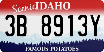 ID license plate 3B8913Y