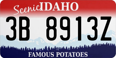 ID license plate 3B8913Z