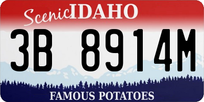 ID license plate 3B8914M