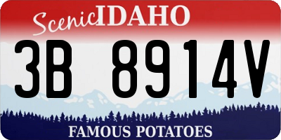 ID license plate 3B8914V