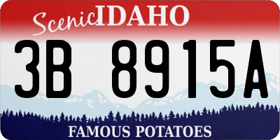 ID license plate 3B8915A