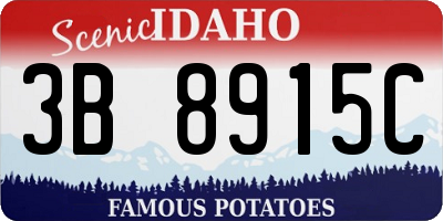 ID license plate 3B8915C