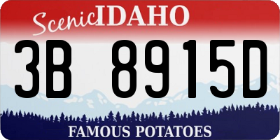 ID license plate 3B8915D