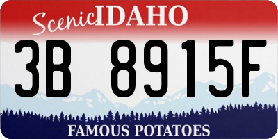ID license plate 3B8915F