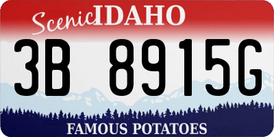 ID license plate 3B8915G