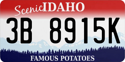 ID license plate 3B8915K