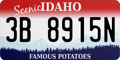 ID license plate 3B8915N