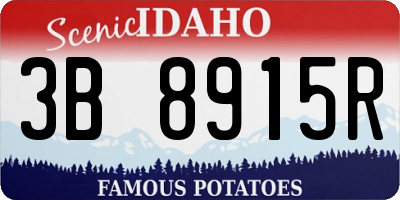 ID license plate 3B8915R