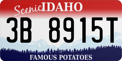 ID license plate 3B8915T