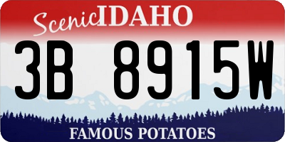 ID license plate 3B8915W