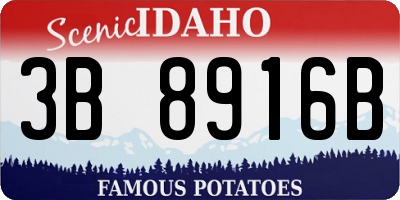ID license plate 3B8916B