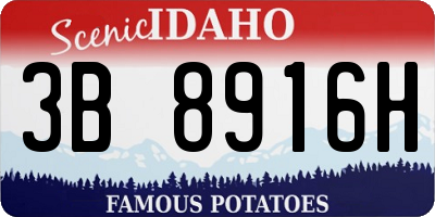 ID license plate 3B8916H