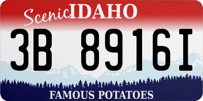 ID license plate 3B8916I