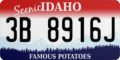ID license plate 3B8916J