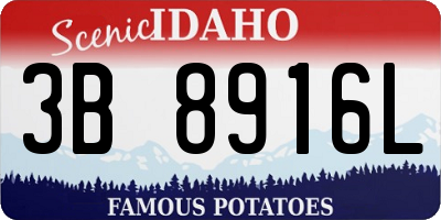 ID license plate 3B8916L