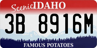 ID license plate 3B8916M
