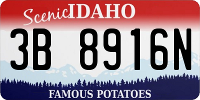 ID license plate 3B8916N