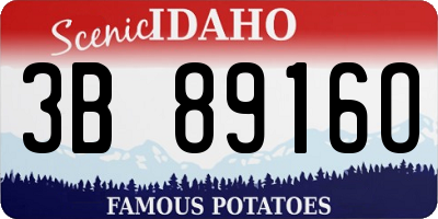 ID license plate 3B8916O