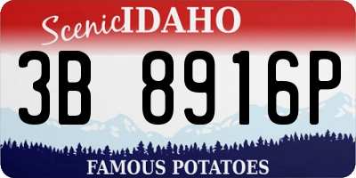 ID license plate 3B8916P