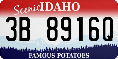 ID license plate 3B8916Q