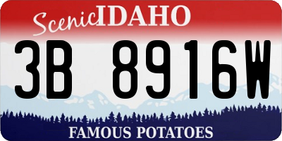 ID license plate 3B8916W