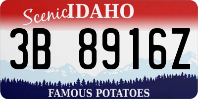 ID license plate 3B8916Z