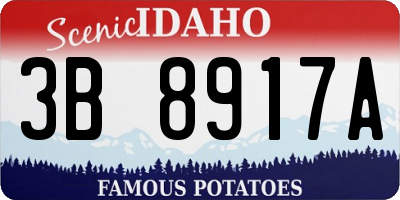 ID license plate 3B8917A