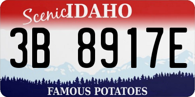ID license plate 3B8917E