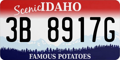 ID license plate 3B8917G