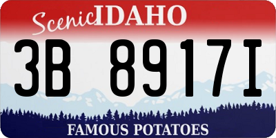 ID license plate 3B8917I