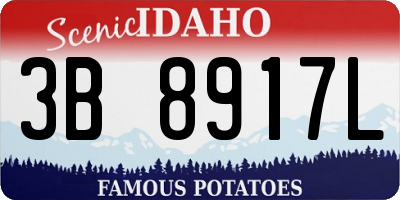 ID license plate 3B8917L