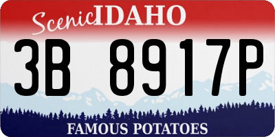 ID license plate 3B8917P