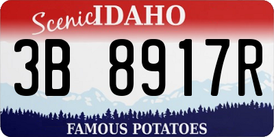 ID license plate 3B8917R