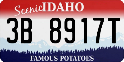ID license plate 3B8917T