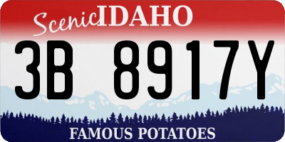 ID license plate 3B8917Y