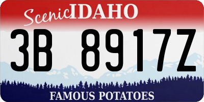 ID license plate 3B8917Z
