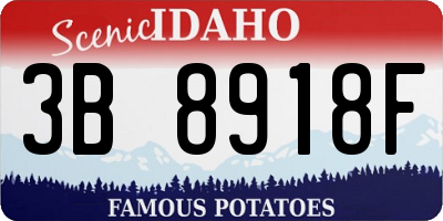 ID license plate 3B8918F