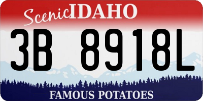 ID license plate 3B8918L