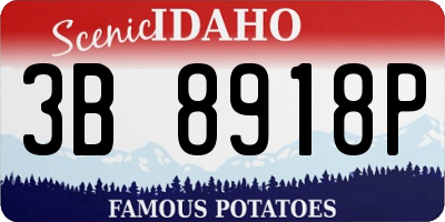 ID license plate 3B8918P
