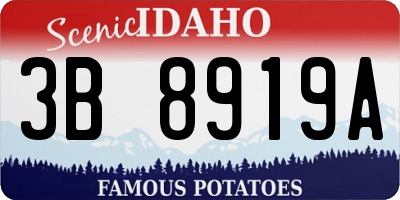 ID license plate 3B8919A