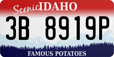 ID license plate 3B8919P