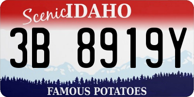 ID license plate 3B8919Y